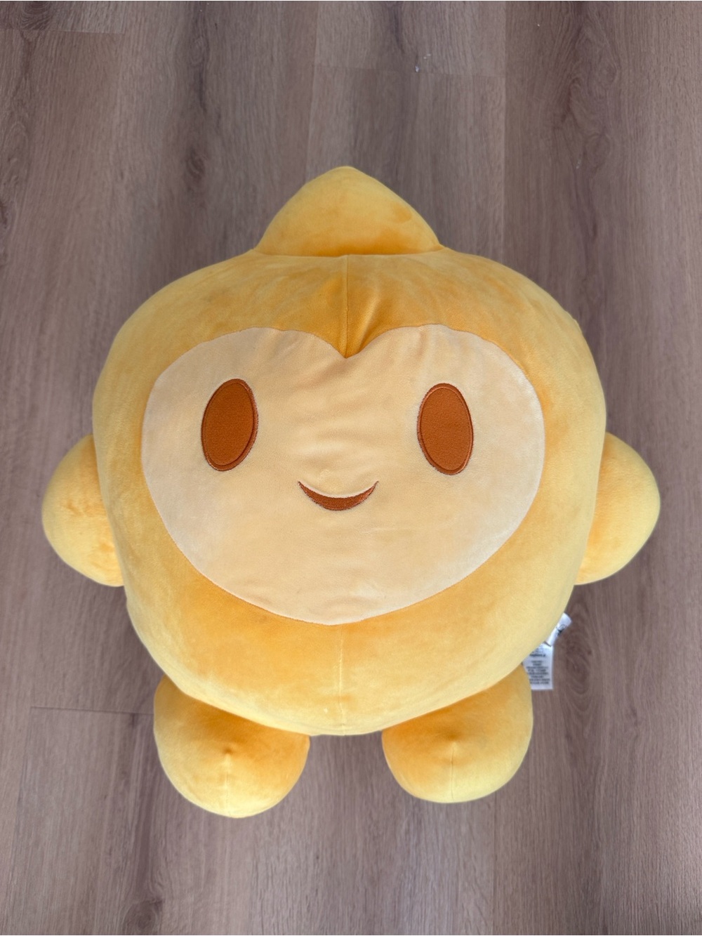 Disney Large Cuddleez Wish Plush